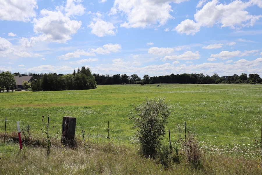 Photo "Lease of land for quantum farms"