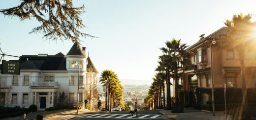 Photo bioarchitektura