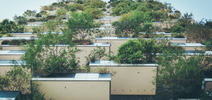 Photo apartments with ecological certificates