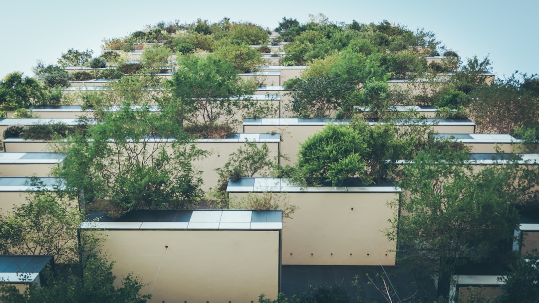 Photo apartments with ecological certificates