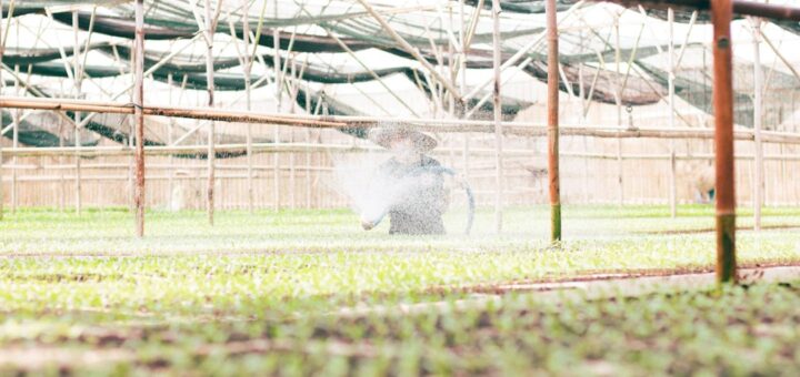 Photo synthetic neuron farms usage