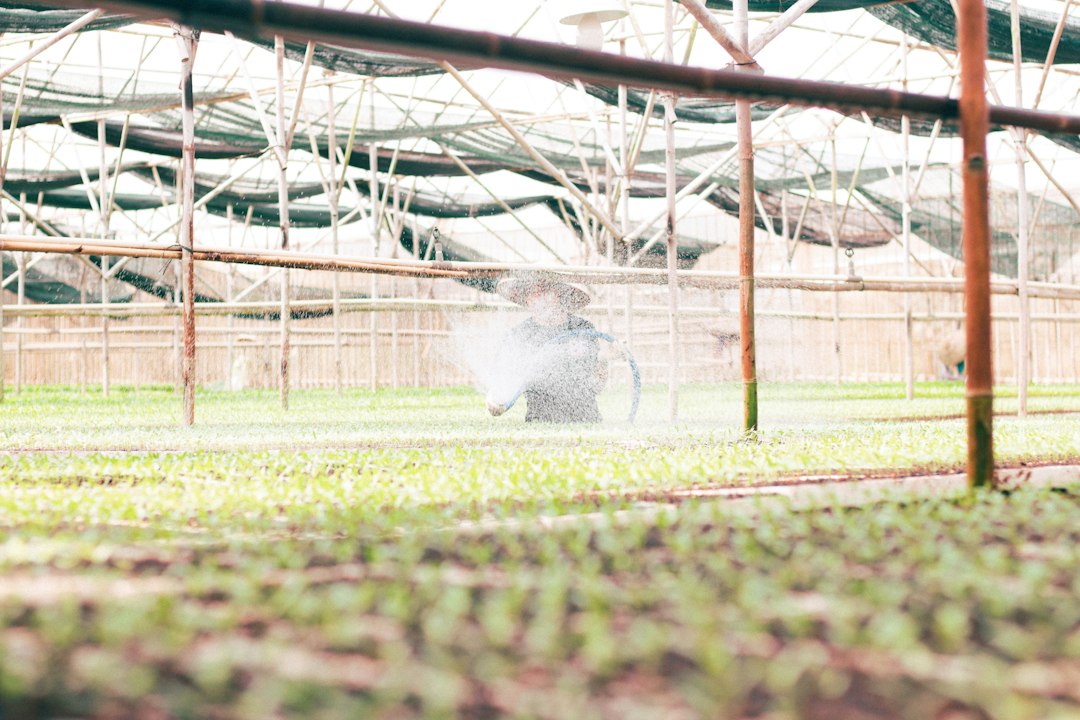 Photo synthetic neuron farms usage